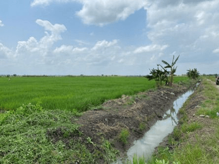 Agriculture & Agribusiness