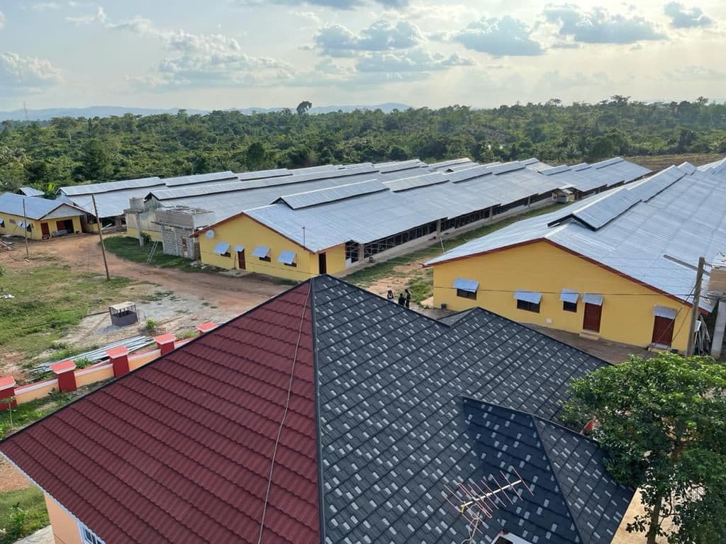 Commercial poultry and livestock farm facilities in Ghana